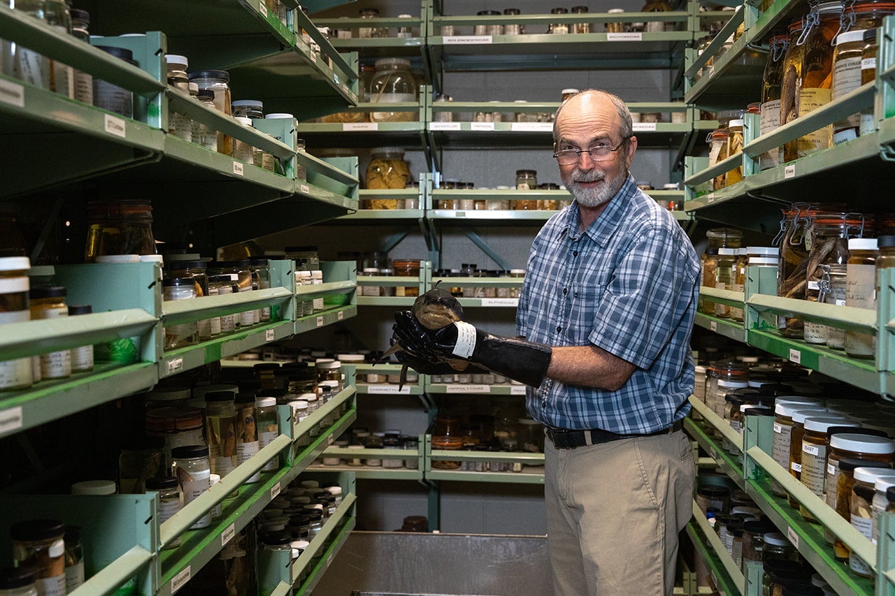 Tony Harold in Fish and Invertebrate Collection at Grice
