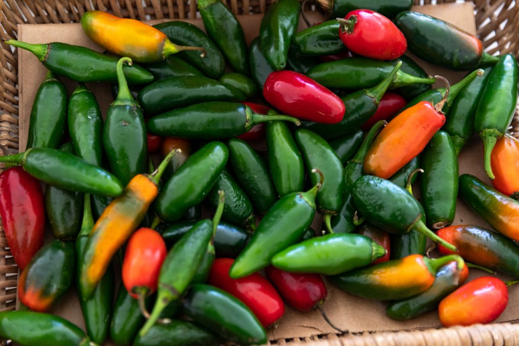 Jalapeño peppers from Rosebank Farm.