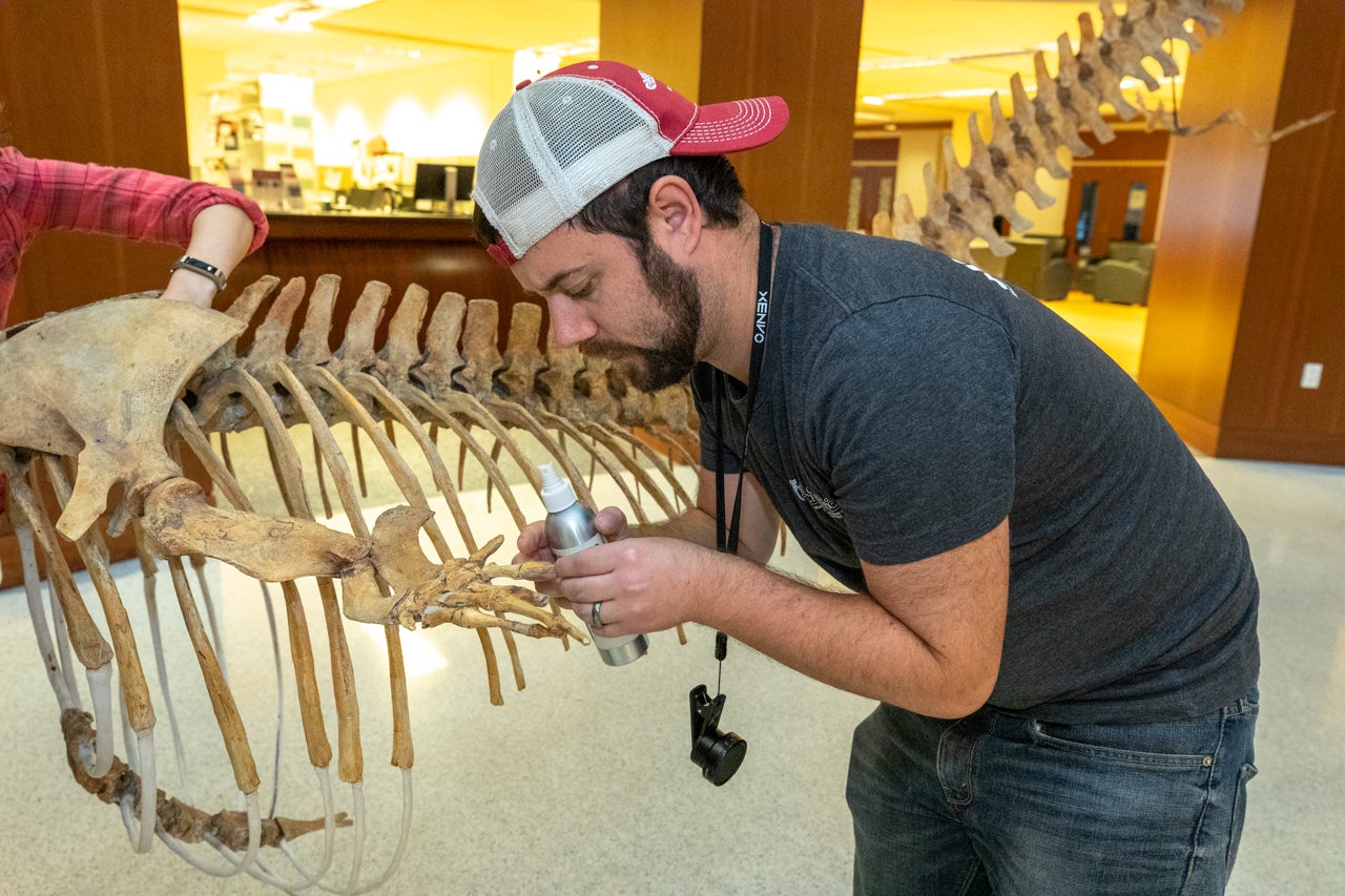 Mace Brown employees oversee the installation of the Whale Skeleton in the Addlestone Library on December 17, 2019.