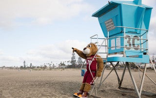 Clyde spots something from lifeguard stand