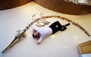 Bobby Boessenecker with the skeleton of the Ancient Dolphin Ankylorhiza