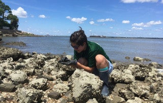 Hails Tanaka Conducts Summer Research at Grice Marine Lab