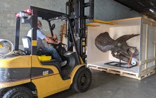 central stores moves dinosaurs