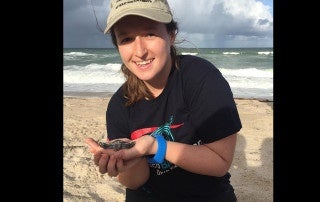 Chelsea Acres holds a baby sea turtle