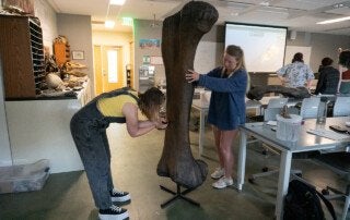 students learned how to measure the weight of prehistoric creatures using two methods, one with water and one with 3D scanning in geology lab taught be Professor Persons.