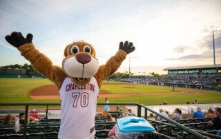clyde at riverdogs game