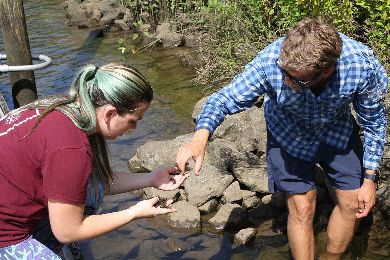 Josie Shostak and chris freeman search for freshwater sponges