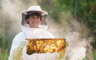 Student works with Bee Hive