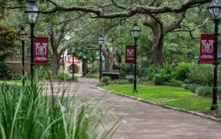 brick walkway on the College of Charleston campus with lush green landscaping and lamp posts