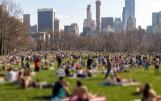 Blurred crowds of people relaxing on the lawn in Central Park on a sunny day in New York City